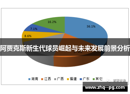 阿贾克斯新生代球员崛起与未来发展前景分析
