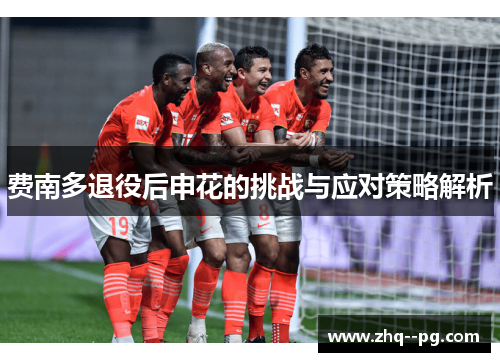 费南多退役后申花的挑战与应对策略解析
