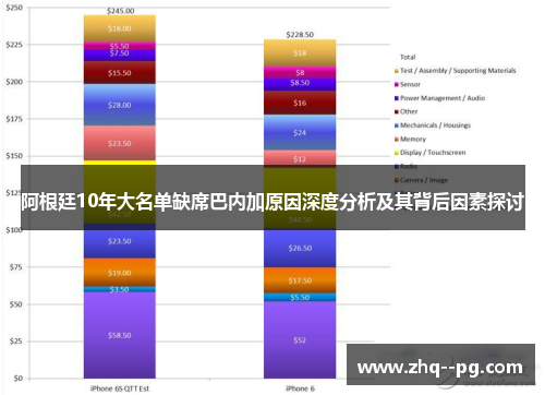 阿根廷10年大名单缺席巴内加原因深度分析及其背后因素探讨